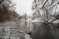 Snowy Walk